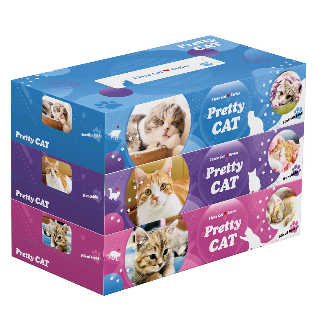 プリティキャットBOXティッシュ130W3個組