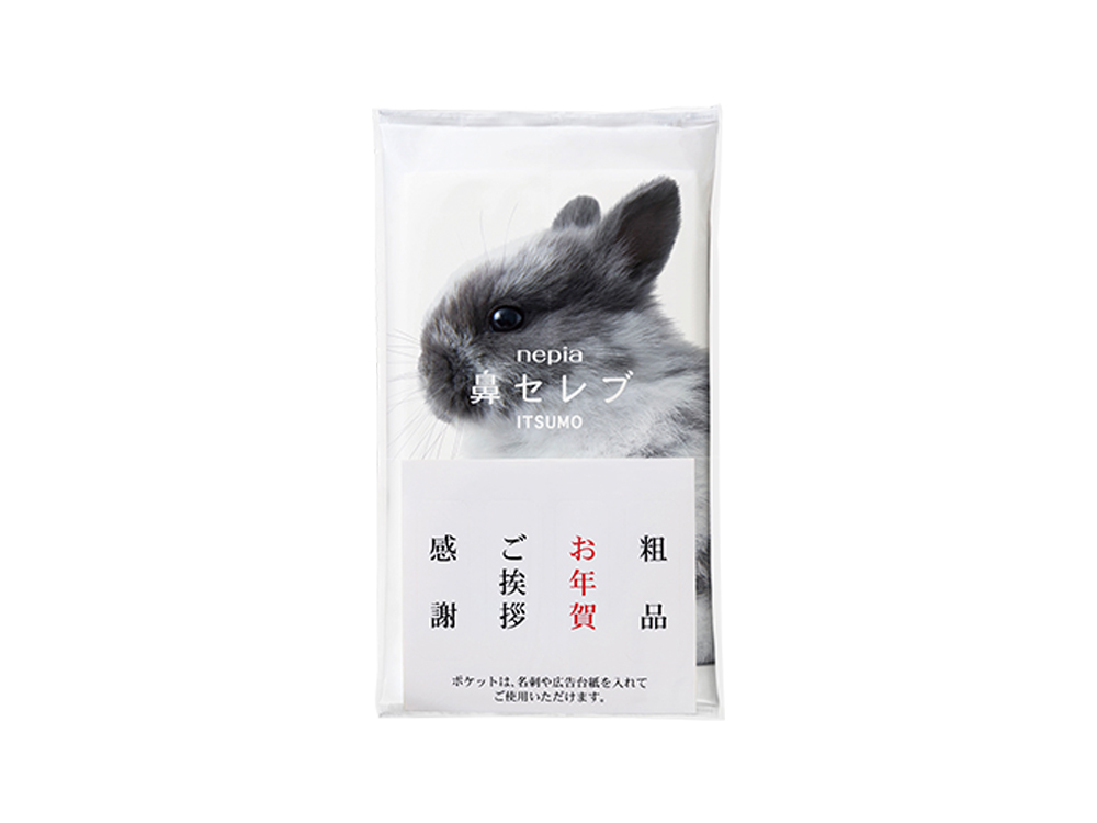 ネピア 鼻セレブ ITSUMO48W(名刺ポケット付)