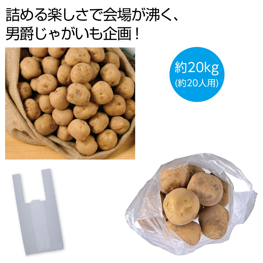 北海道産男爵じゃがいも詰め放題キット20kg(約20人用)
