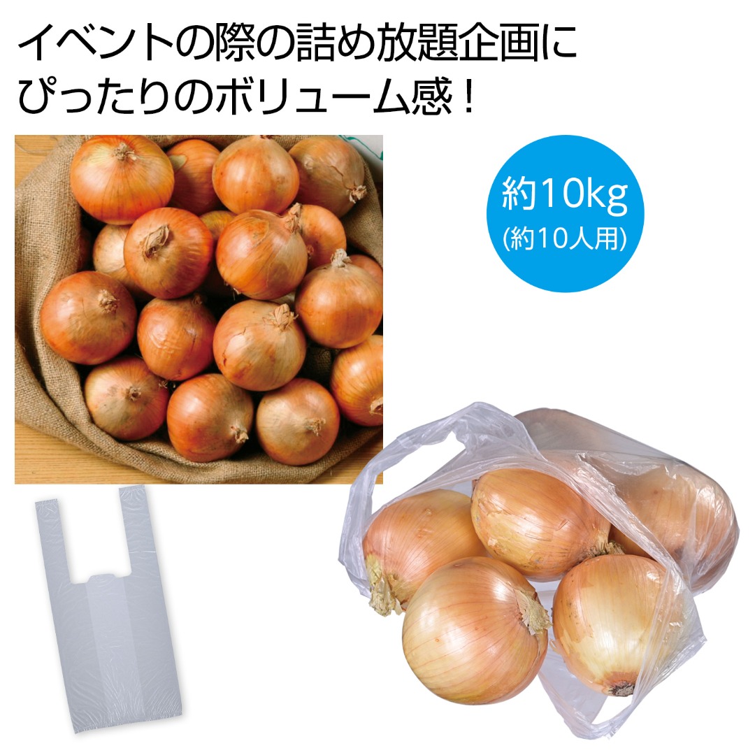 北海道産玉ねぎ詰め放題キット10kg（約10人用）