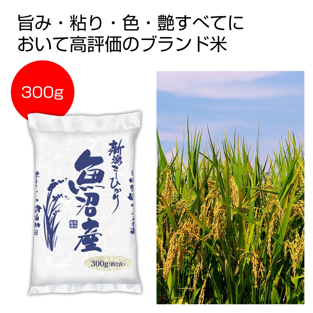新潟魚沼産こしひかり300g