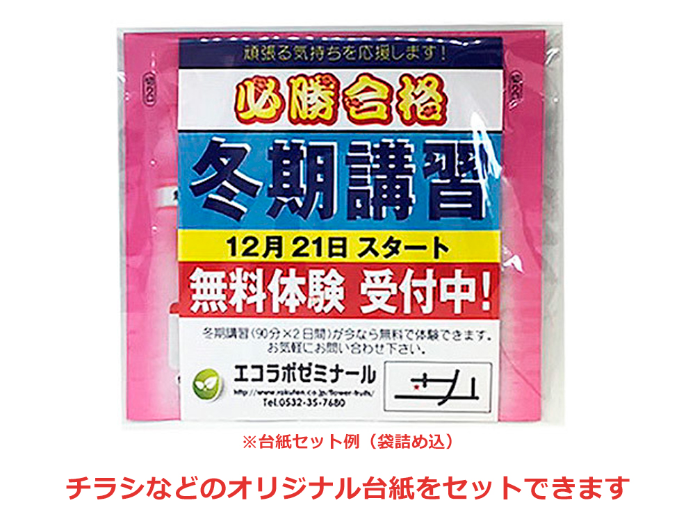 チラシ入れ（台紙同封）の例